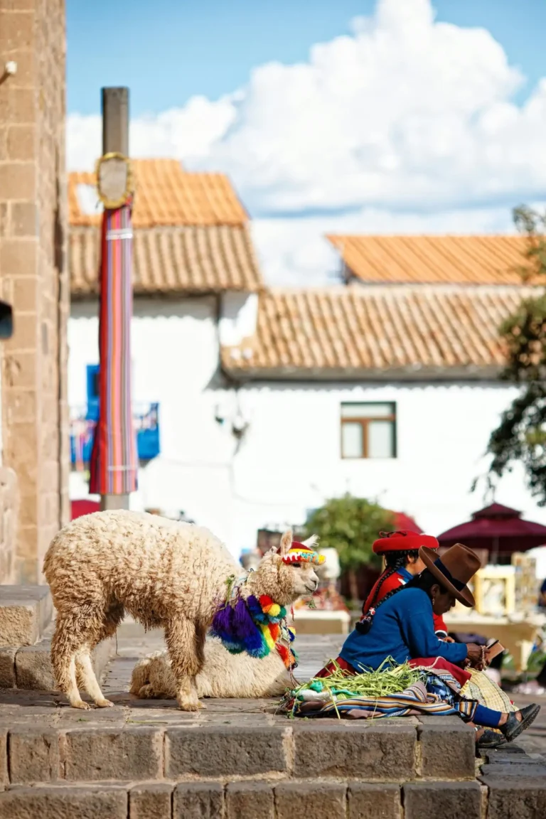 Tour Gastronómico Cusco