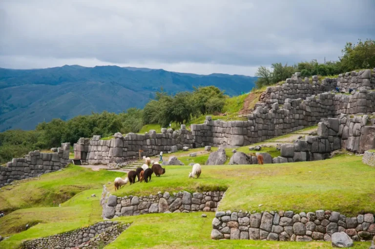 Cusco Gastronomic Tour